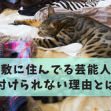 ゴミ屋敷 芸能人