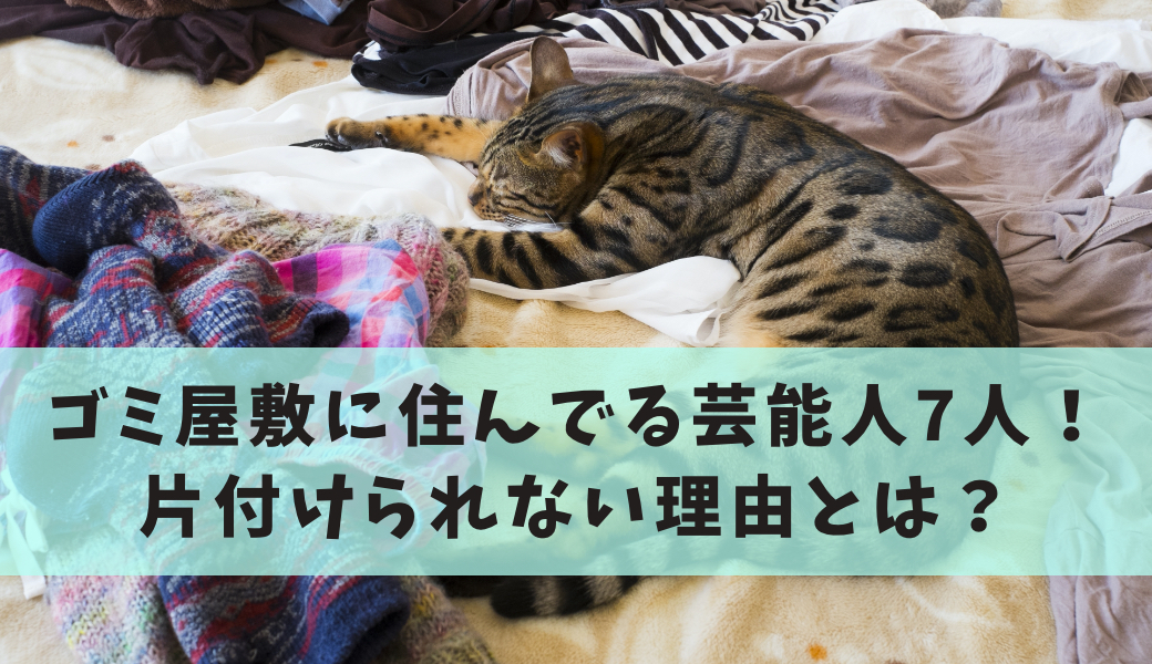 ゴミ屋敷に住んでる芸能人7人 片付けられない理由とは 不用品回収比較ナビ