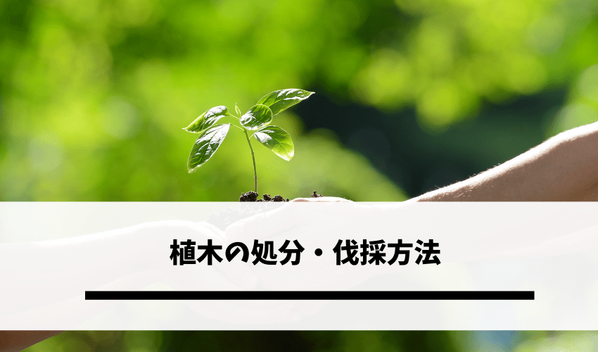 植木の処分 伐採方法 植木に付いている土の捨て方は 疑問に答えます 不用品回収比較ナビ